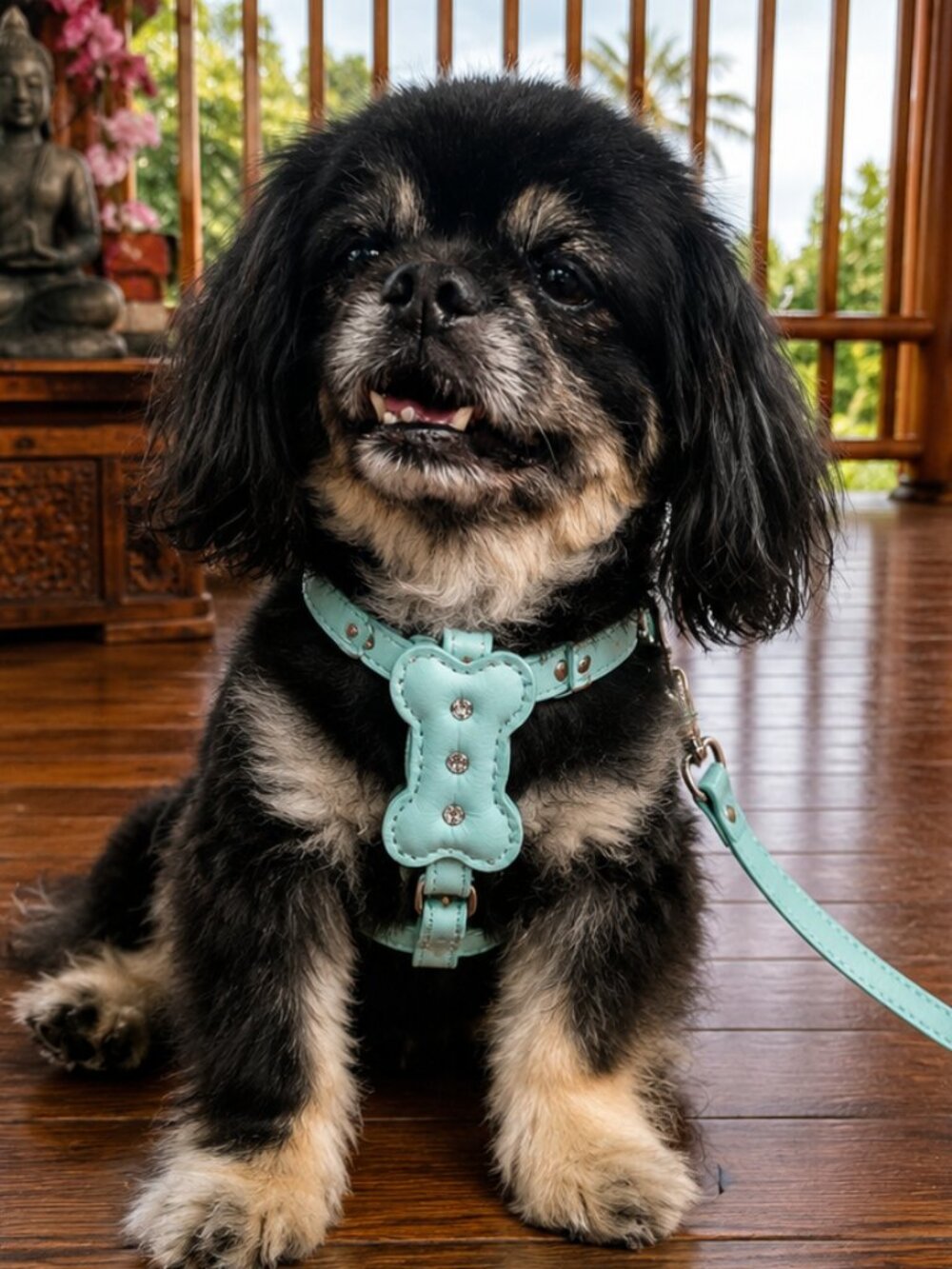 Luxury Pastel Leather Dog Harness Set Small Puppy Boutique Walking Set